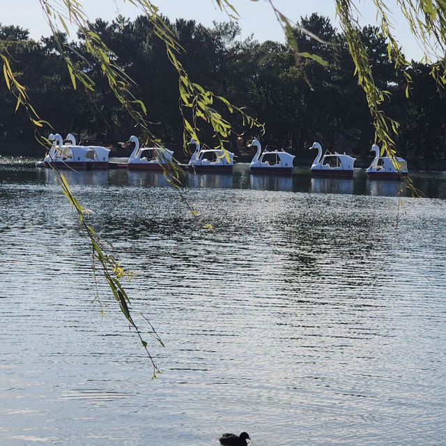 大濠公園（Ohori Park）