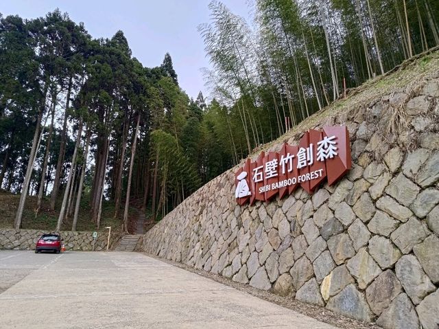 雲林古坑景點-木馬古道看竹林