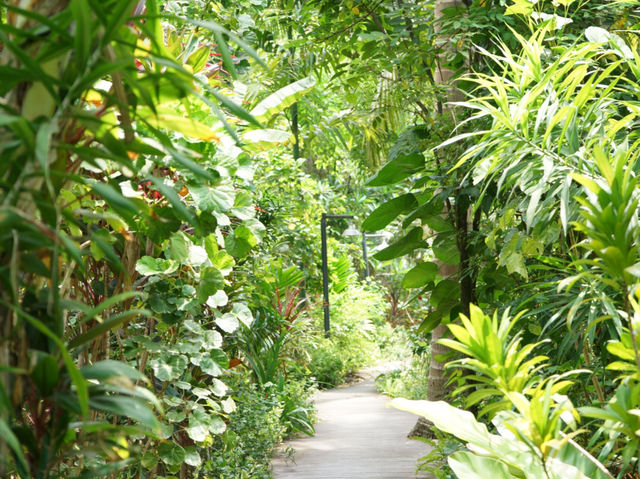 คาเฟ่ในสวนมะพร้าว ที่ Gansdal Amphawa 
