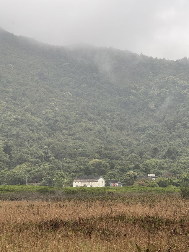 合家歡行山路線！新手適合多補給🙂