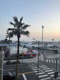공항 근처의 깔끔한 가성비 호텔 맹그로브 제주시티🌴