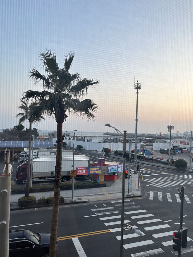 공항 근처의 깔끔한 가성비 호텔 맹그로브 제주시티🌴