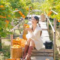 รวม 7 โลเคชั่นกาญจนบุรี มันดีมาก! 🎼🌳 