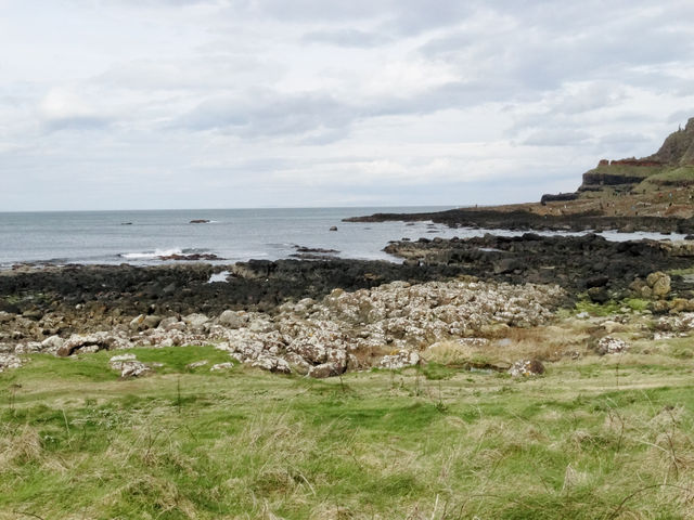 Spring Awakens at the Giant’s Causeway