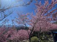 白蘭部落（五峰鄉）