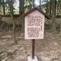 【山口県下関市長府🇯🇵功山寺】見どころたくさん☺️長府巡り