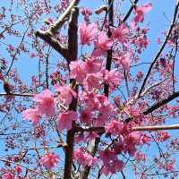 新社古堡莊園
