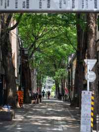 雑司が谷スナップ🍃 – 静かな街並みと歴史のあるエリア