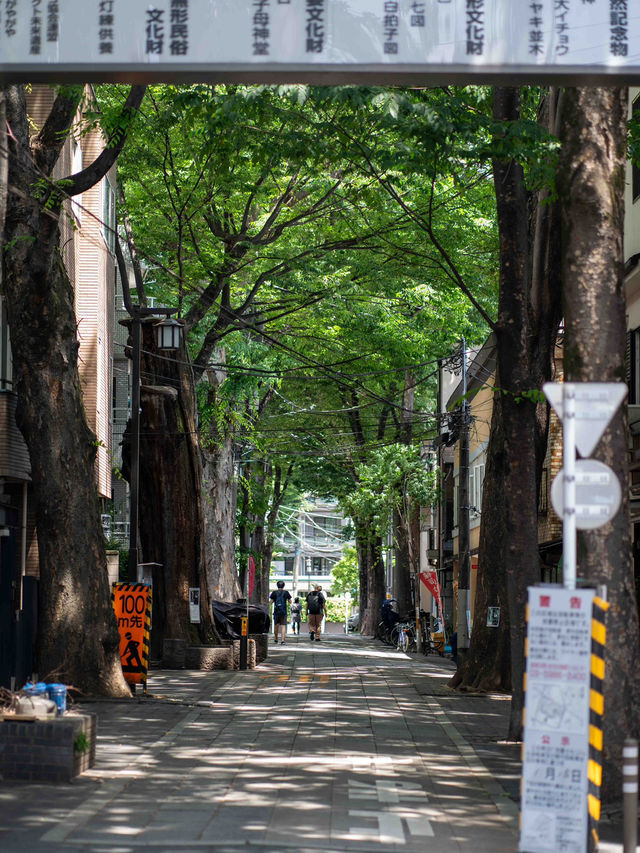 雑司が谷スナップ🍃 – 静かな街並みと歴史のあるエリア