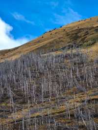 Moke Lake Magic – Queenstown’s Best-Kept Scenic Secret