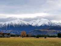 Castle Hill – A Must-Stop Wonderland in Arthur’s Pass🗻🪨