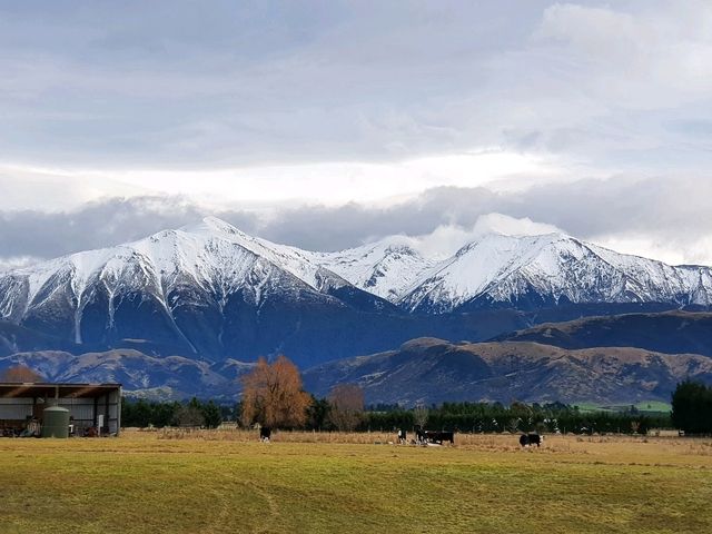 Castle Hill – A Must-Stop Wonderland in Arthur’s Pass🗻🪨