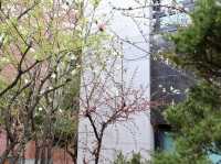 首爾｜在明洞漫畫街，遇見一條開滿鮮花的彩色街道｜旅途中最意外的溫柔時刻