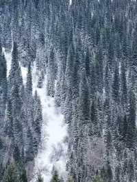 Magical Winter in Nalati: A Fairytale of Snow and Serenity