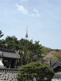 Namsan Seoul Tower — A Blossom-Filled Spring Escape in the Heart of Seoul