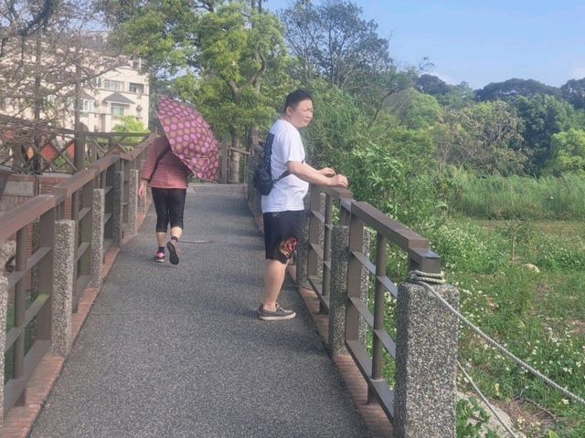 龍潭大池踩船賞美景