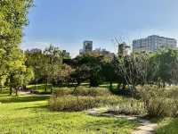Daan Park