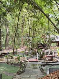 ไปเดินเล่นชิลล์ๆ ที่ “ป่าไผ่วัดจุฬาภรณ์” นครนายก