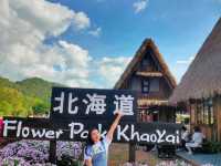 Hokkaido Flower Park Khaoyai