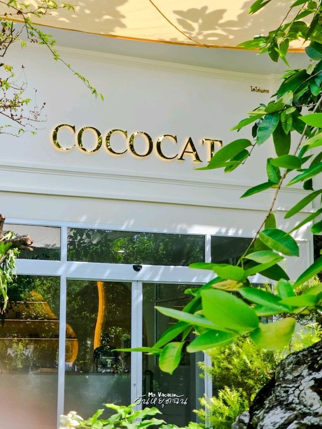 Cococat Cafe