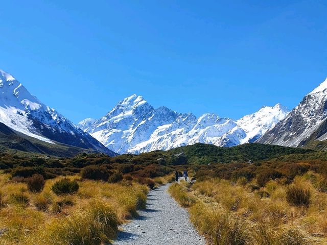 Don’t Miss This Must-Hike in NZ: Hooker Valley at Mount Cook🏔