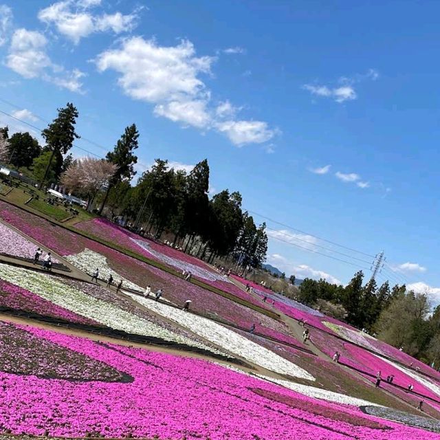 Hitsujiyama Park, Saitama
