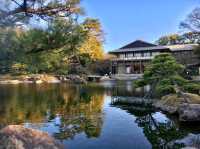 名古屋-德川園賞櫻，徜徉於江戶時代的池泉回遊式庭園