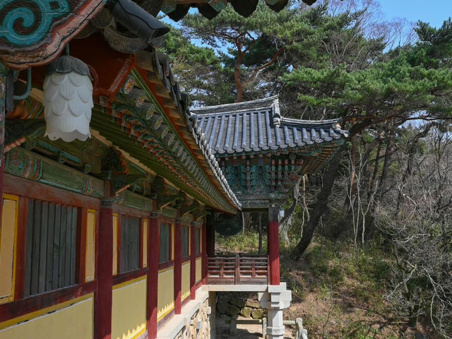 “Bulguksa Temple: Where Cherry Blossoms Embrace Timeless Tranquility”
