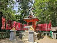 奈良~親親大自然，探訪可愛小鹿和歷史文化遺產的地方。