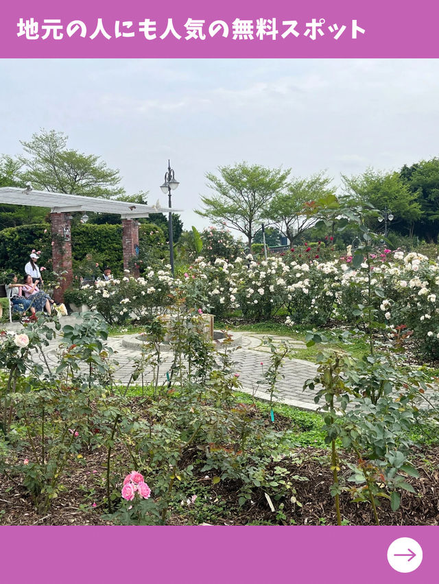 【台北女一人旅】松山空港近く！無料で英国庭園が楽しめる隠れスポット！