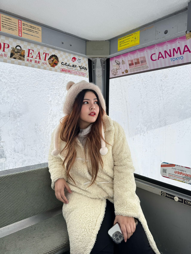 Gala Yuzawa Near Tokyo