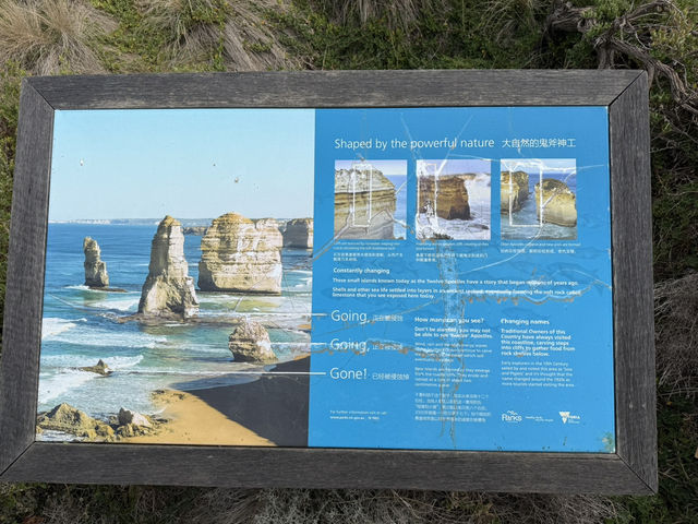 Day Tour in Great Ocean Road
