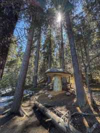 A Peaceful Escape into Nature: Discovering the Beauty of Potatso National Park (普达措国家公园)
