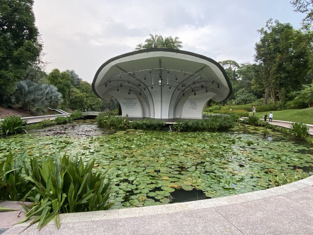 🌿 Singapore Botanic Gardens: A Lush Escape (With a Side of Lizard Drama) 🦎  