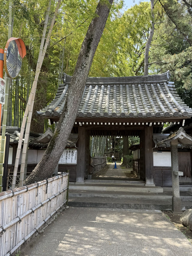 📍妙福寺/東京
