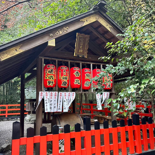 🇯🇵【京都】パワースポット！野宮神社！良縁、子宝、学問の神様♪(^^)