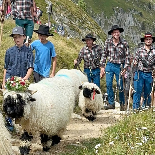 🏔️🔔 Alpine Magic at Gemmi Pass: My Day at the Shepherds’ Festival