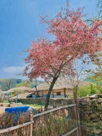 아산 외암 민속마을 여행!