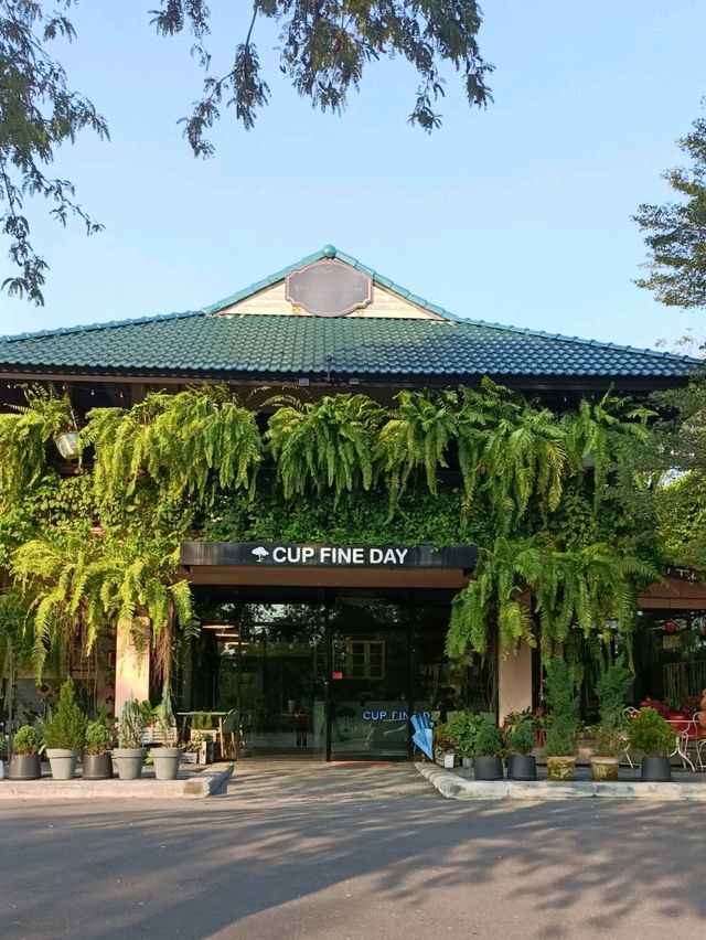 Cup Fine Day |ปทุมธานี