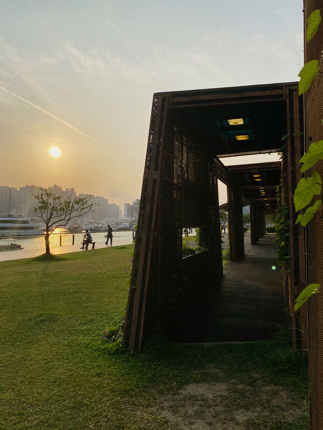 香港｜觀塘海濱公園🌅