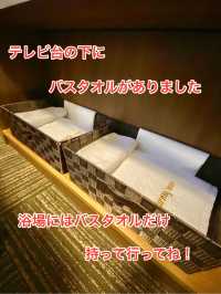 【天然温泉つつじの湯ドーミーイン豊橋】天然温泉があるホテルでホテルステイを満喫しよう！