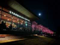 The Most Beautiful and Romantic Starbucks store with Cherry Blossom! 🌸 