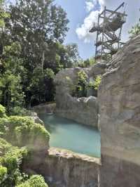 Rainforest Wild Asia – A Hidden Gem for Nature Enthusiasts