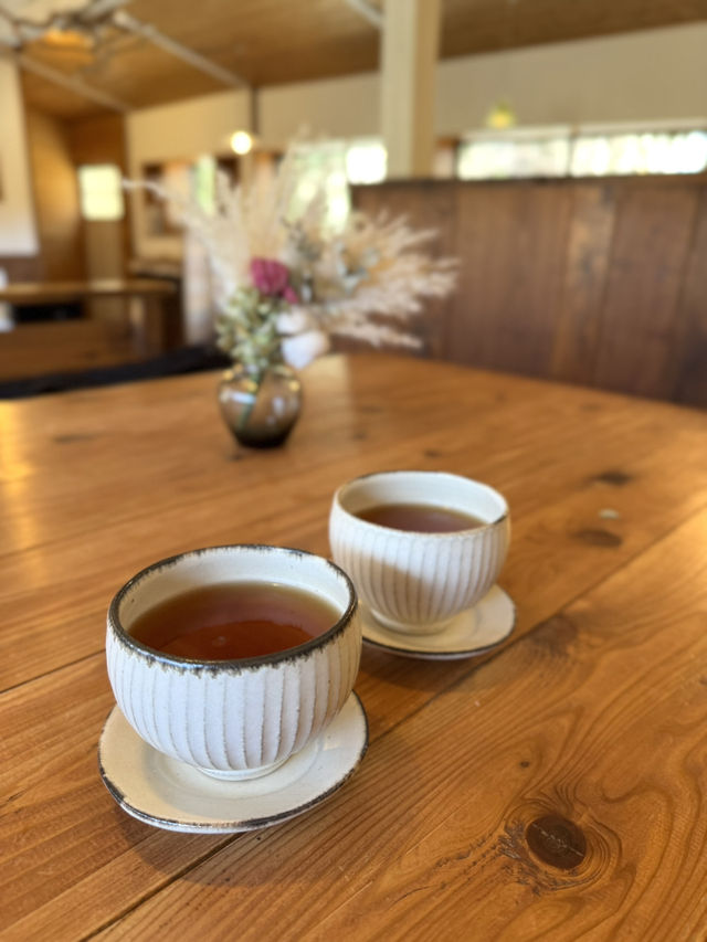 【熊本グルメ】山の奥の自然豊かな場所にある癒しカフェ🍽