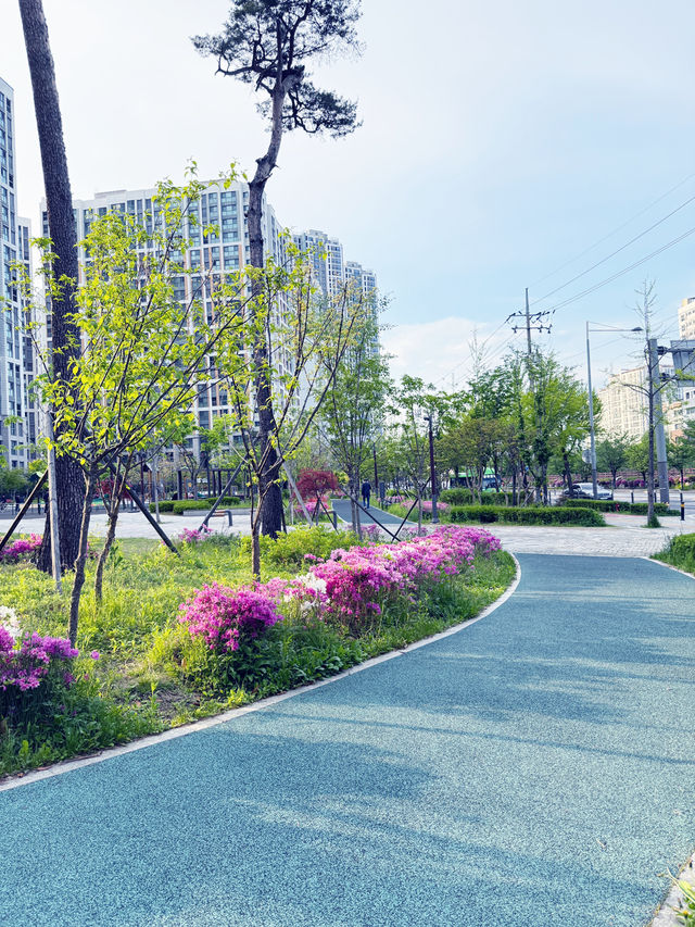 해뜨는 공원 산책 추천드려요!