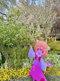 Hanfu Among the Blossoms: When Tradition Meets Transient Beauty