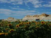 Xinjiang – A Hidden Bloom in China’s Western Frontier