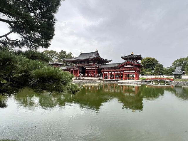 宇治抹茶