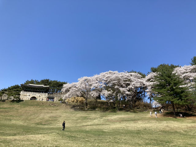 청주 당일치기 이렇게 다녀오세요 🩵