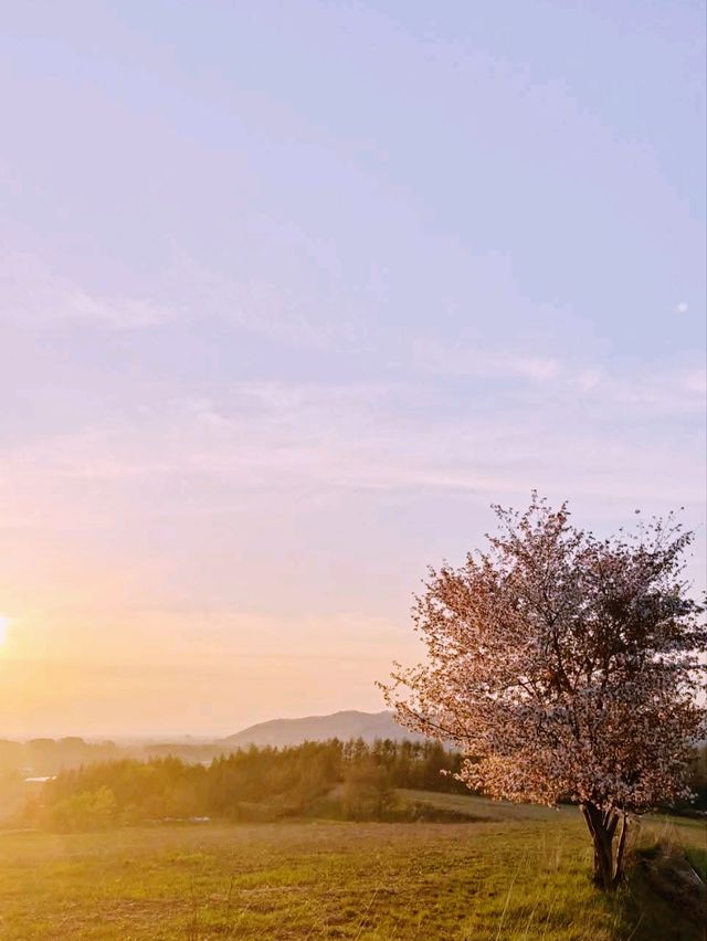 Maruyama Park